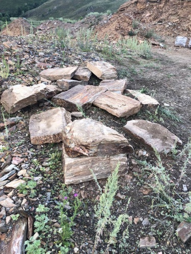 Плитняк кора дерева 50-100мм для пошаговых дорожек купить в Благовещенске